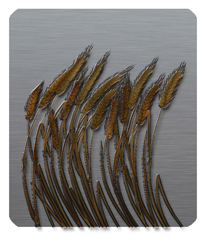 217 DF35 910BZ Blowing Wheat